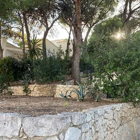 Santa Caterina